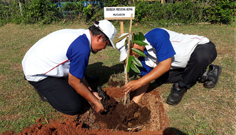 当社インドネシア子会社内での植樹活動